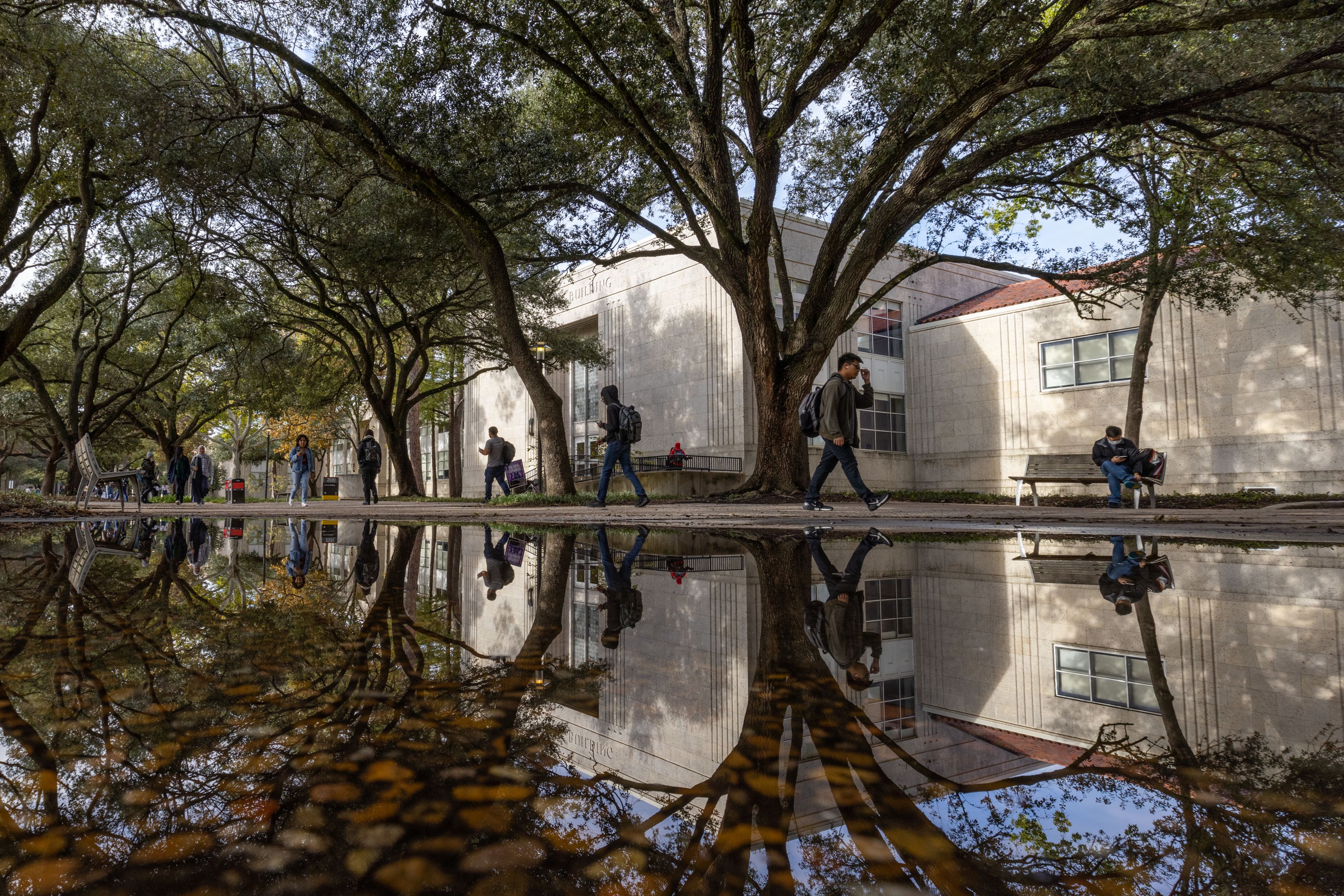 students walking across college campus on tree-lined path.