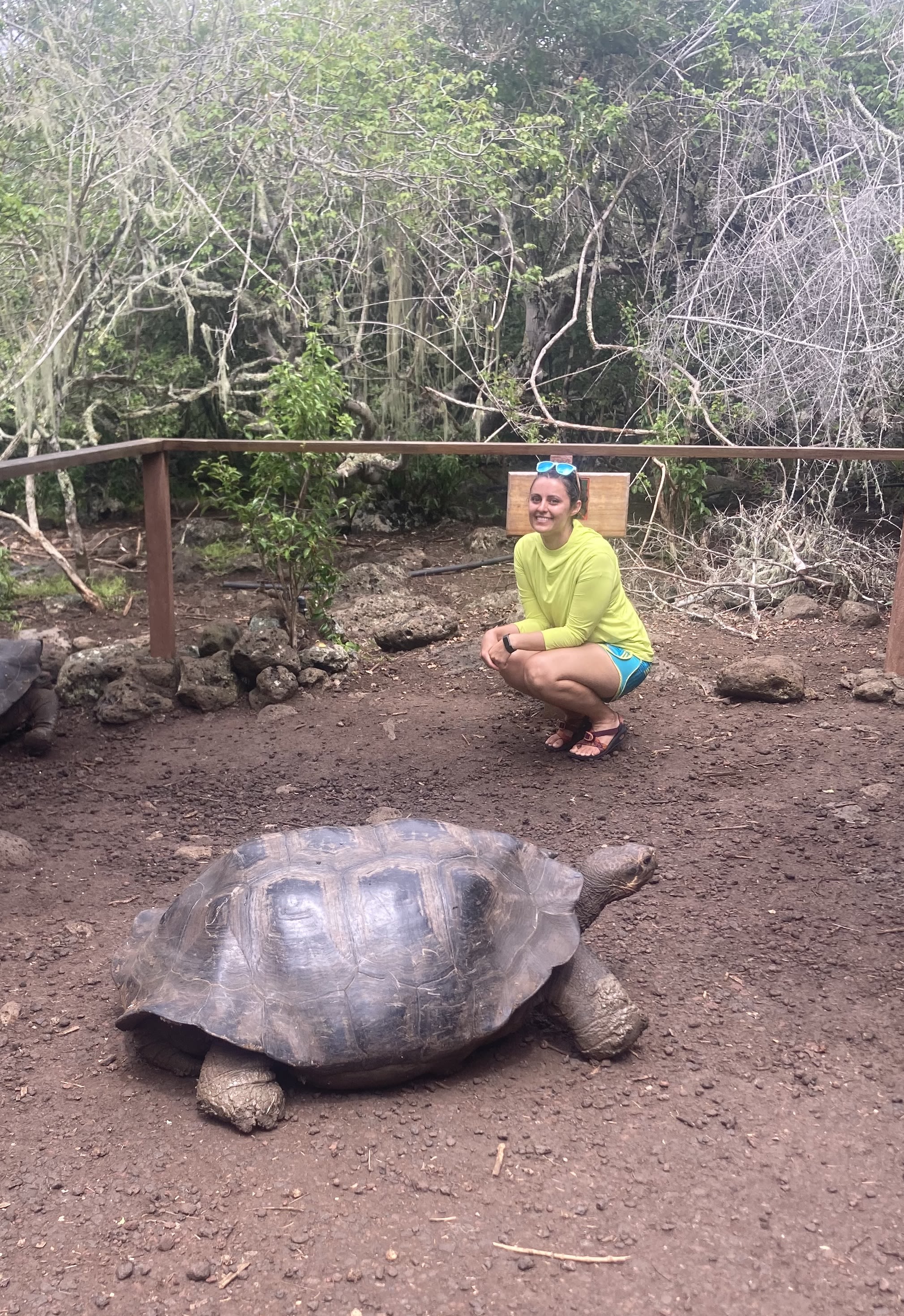 University of Houston student with large turtle exploring the Galapagos Islands