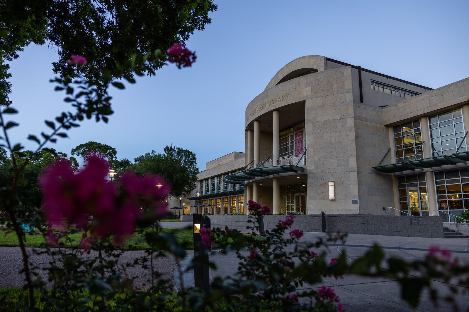 Side view of M.D. Anderson Library behind flower bushes