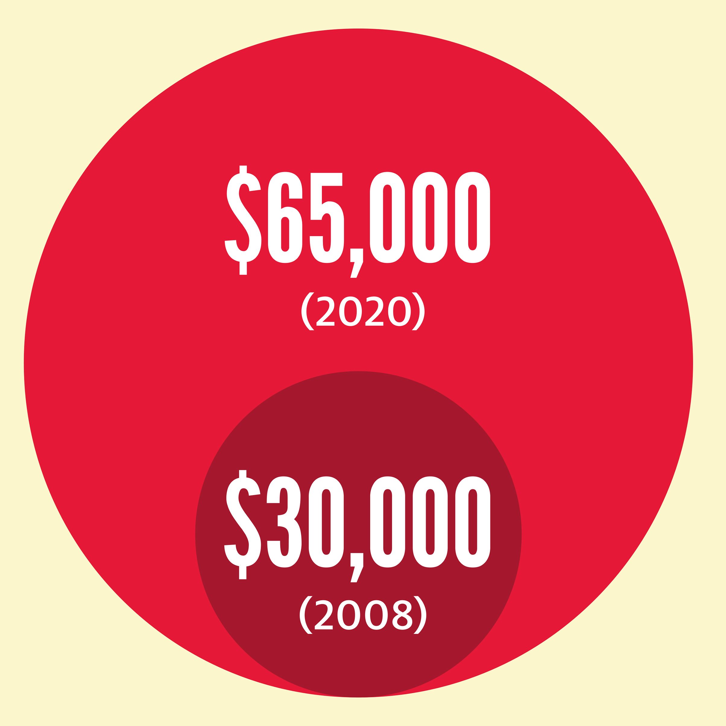 Circle graph $65,000(2020) and $30,000(2008)