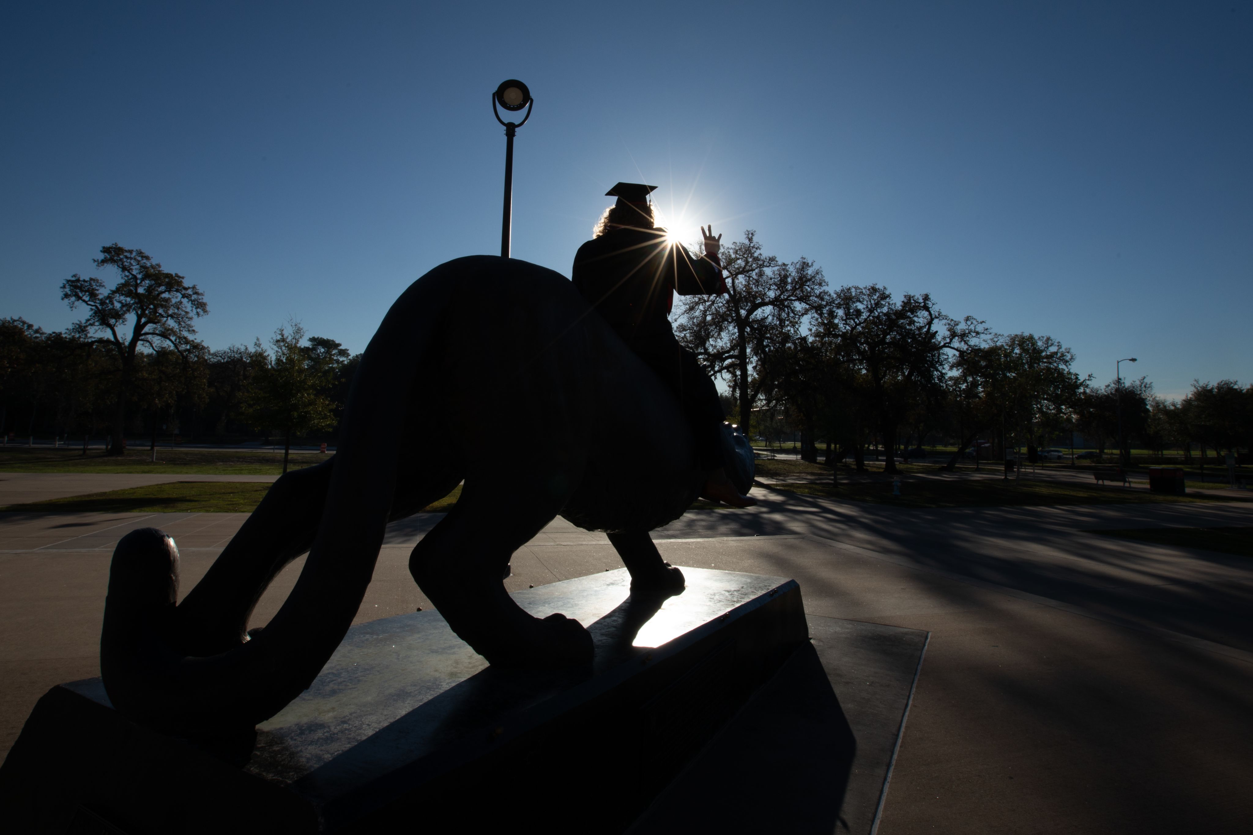 Student atop cougar statue