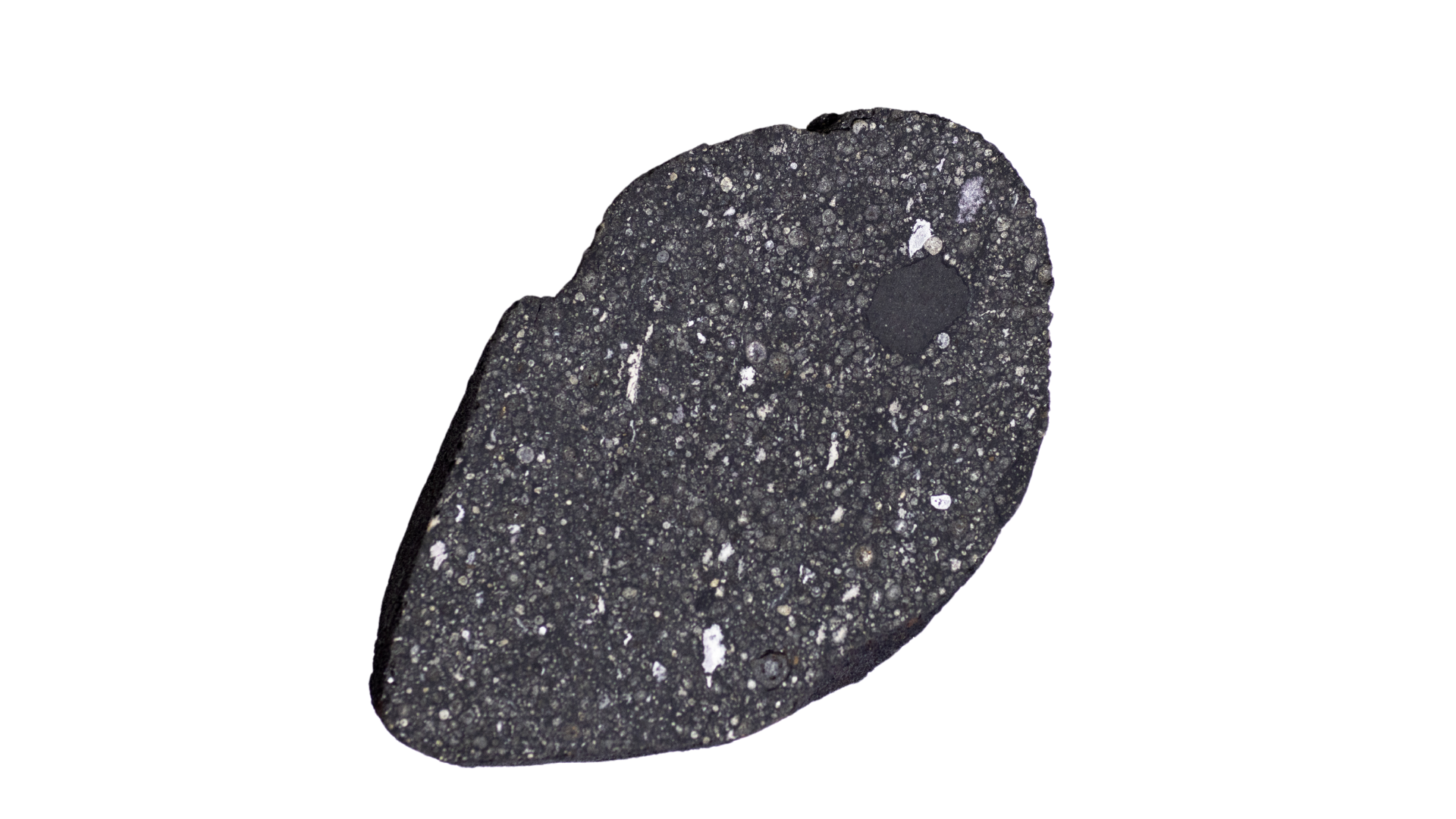Photo of a meteorite Lapen is studying in his lab
