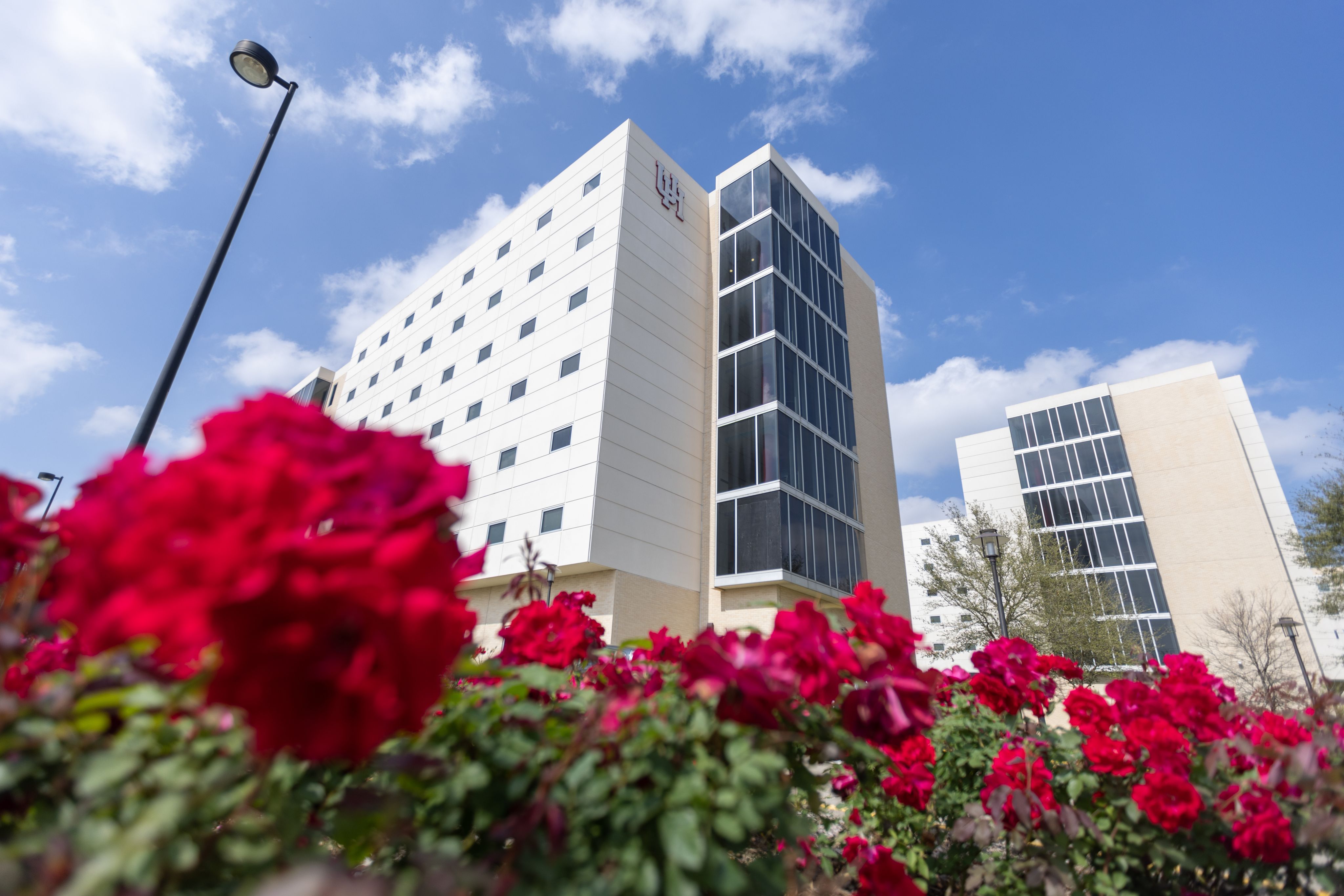 Outside view of Cougar Village student housing with red flowers in the foreground.