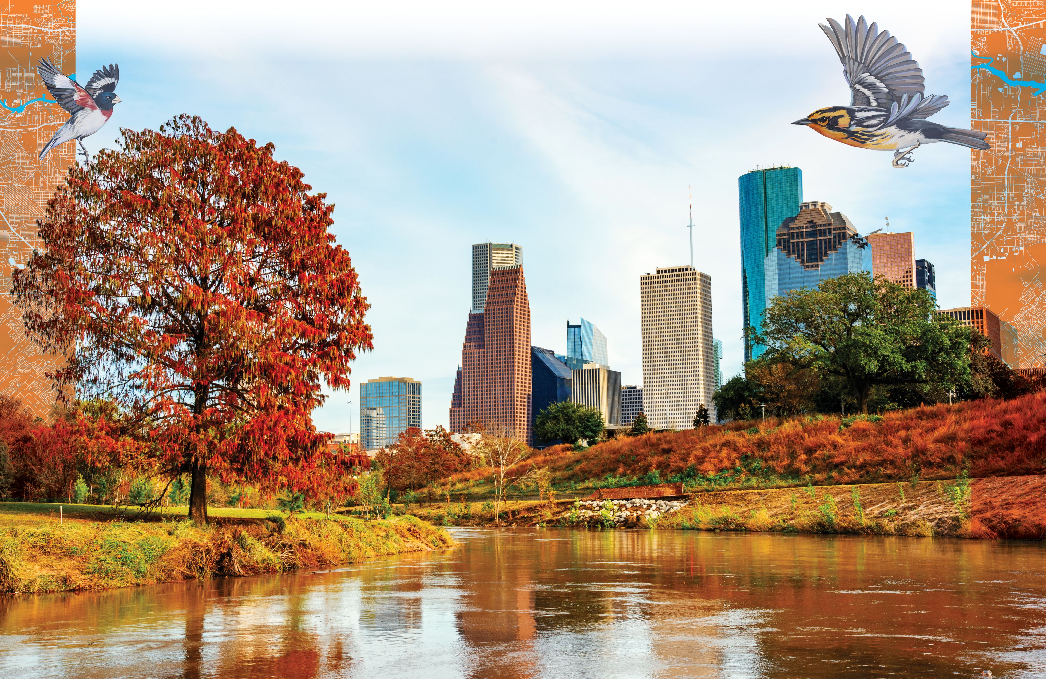 The Houston Skyline in the fall with illustration of birds layered on top.