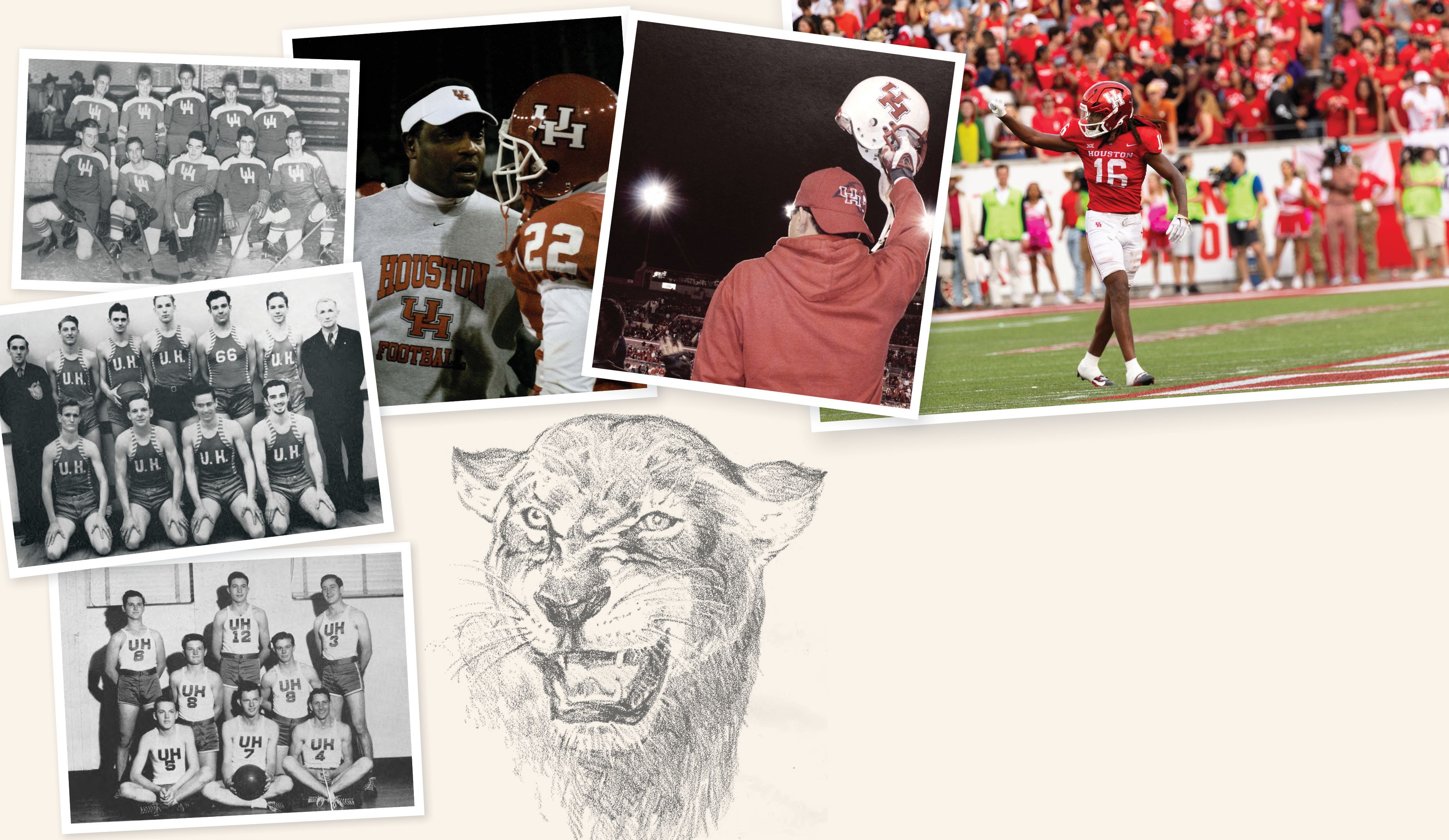 A collage of UH photos from different time periods and a sketch of a cougar.