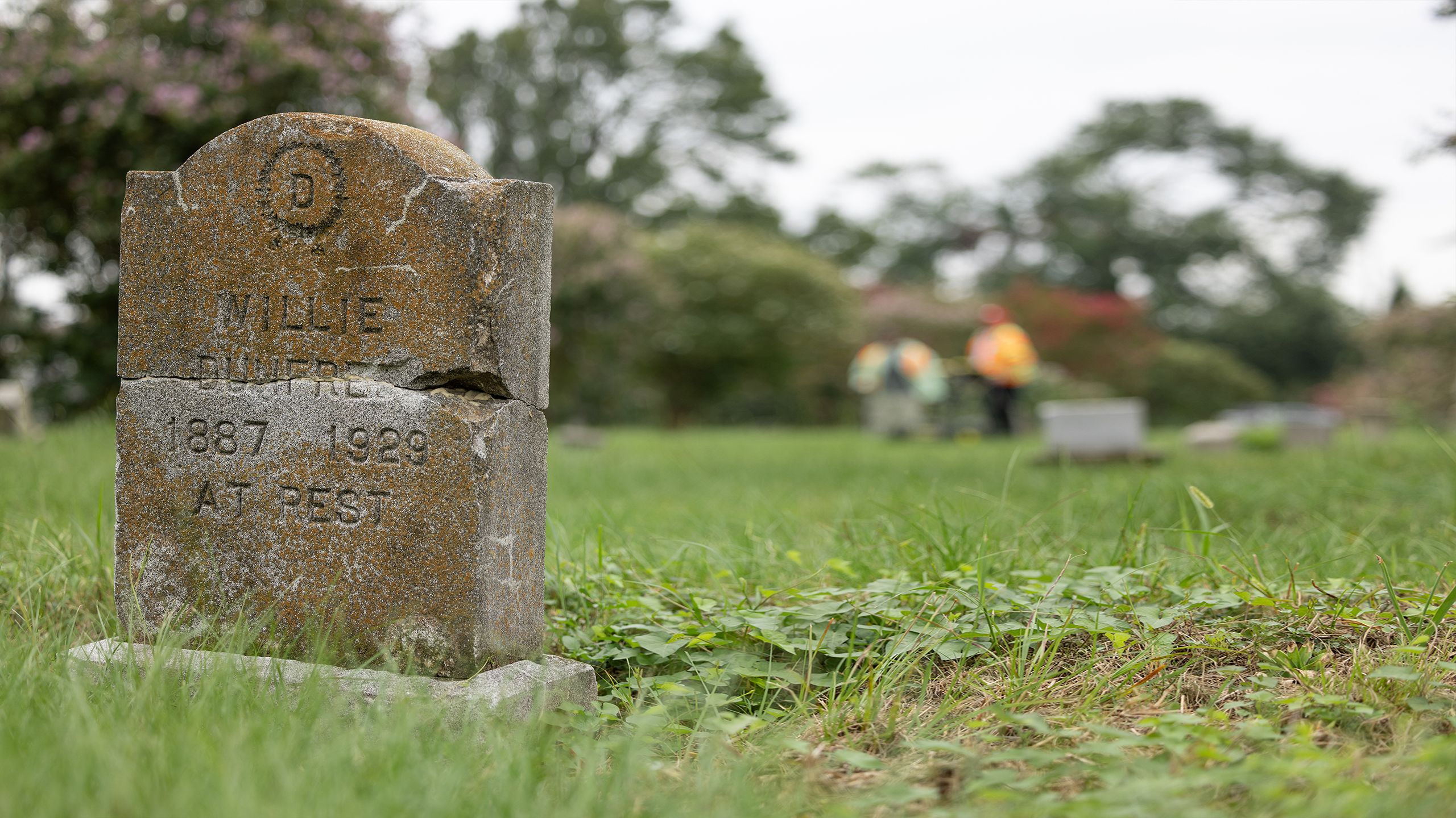 A technician in a day-glo orange vest uses a measuring tape to measure the cemetery grounds.