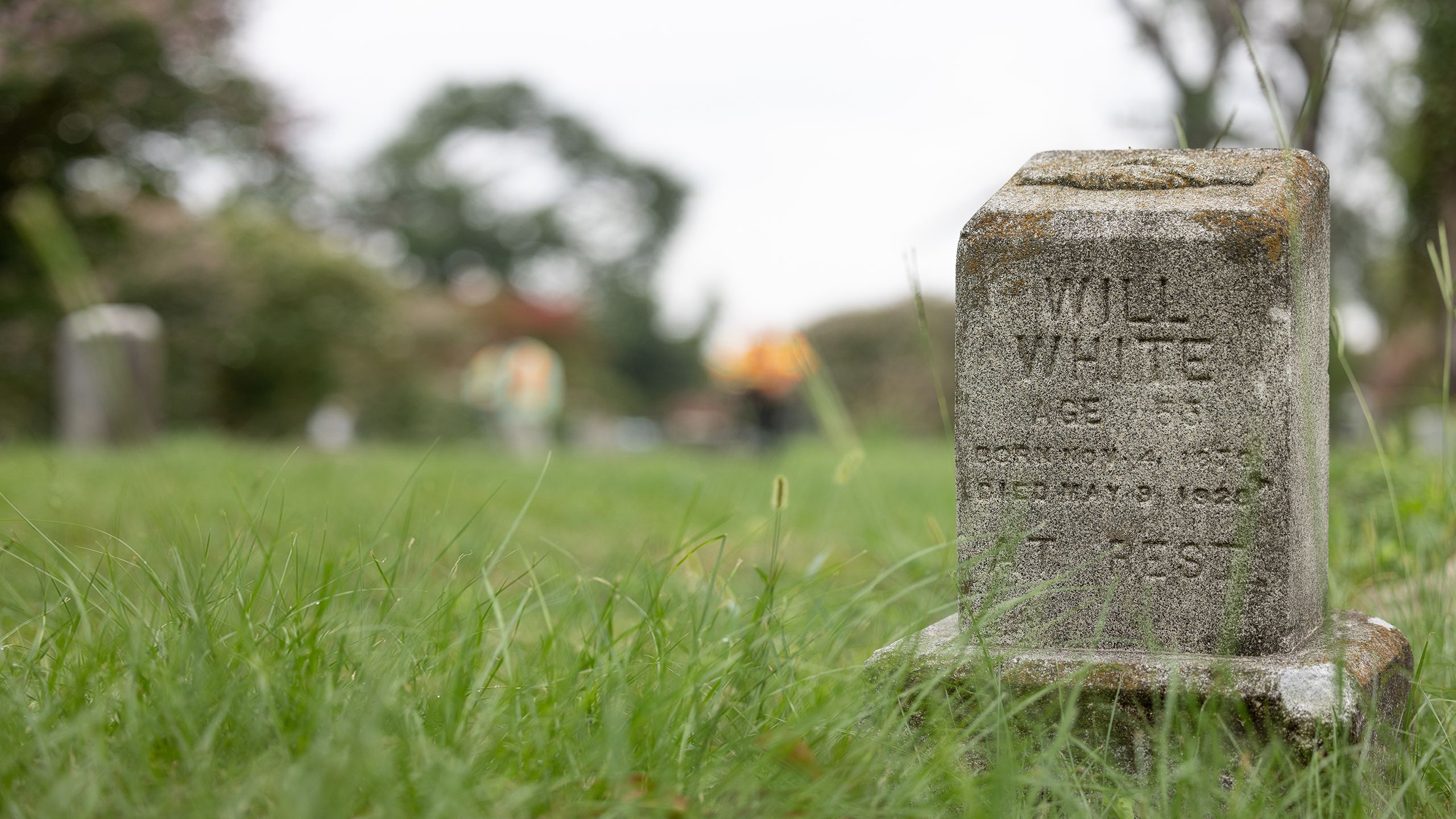 Close-up shot of a headstone in a grassy cemetery.
