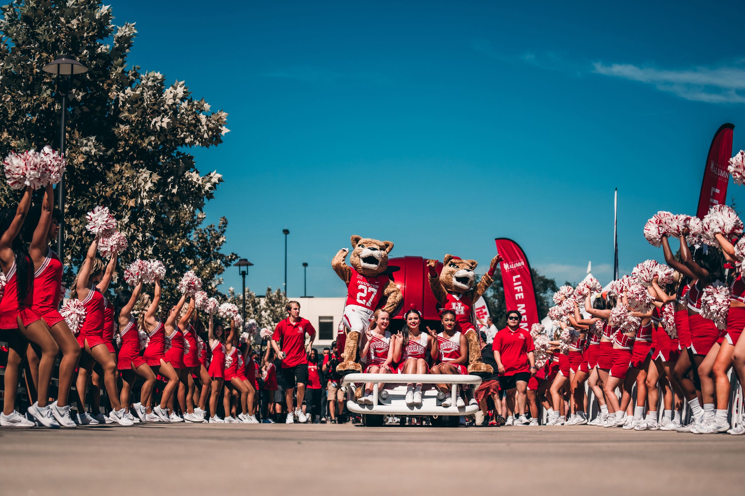 University of Houston Cougar mascots and cheerleaders parade.
