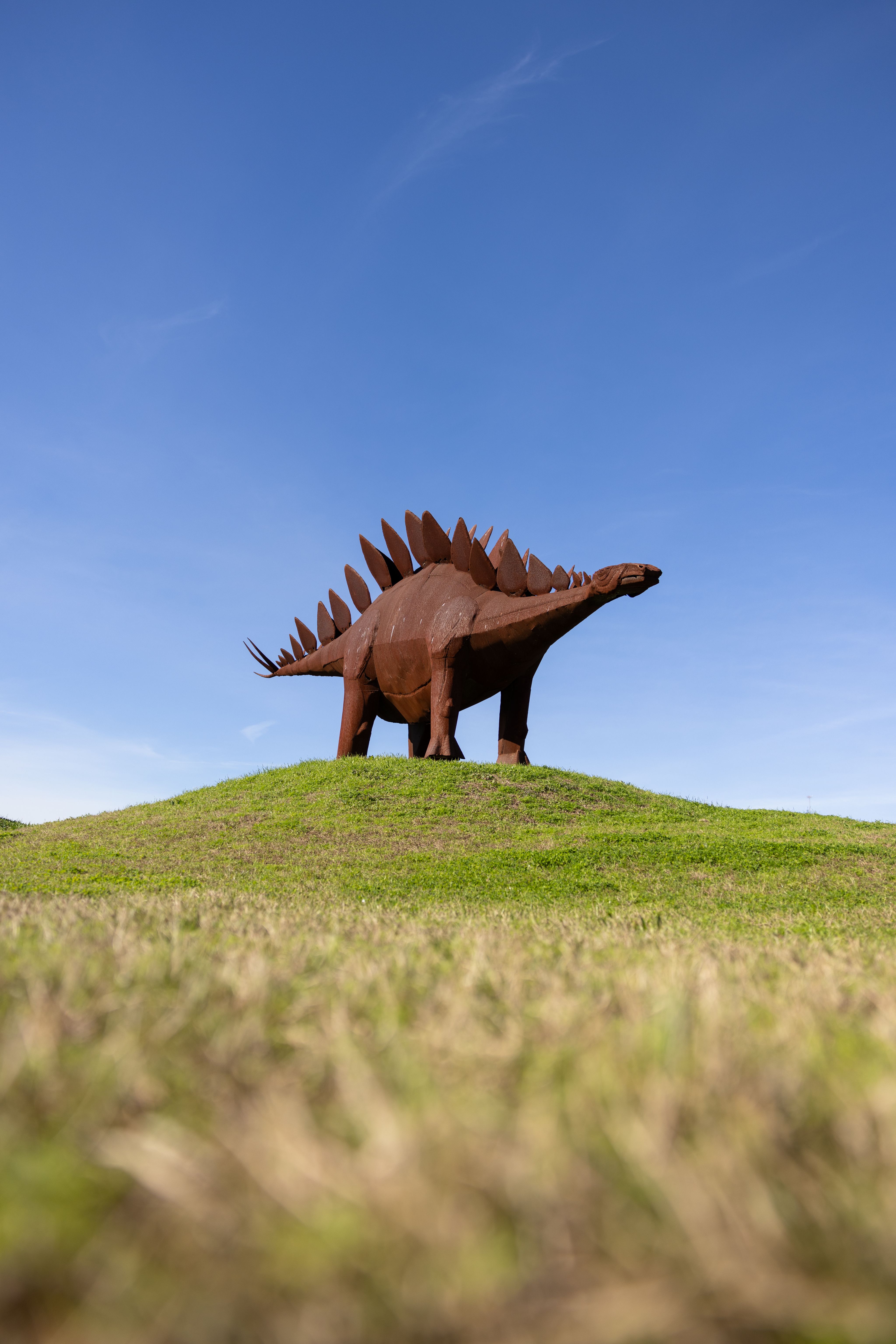 A rust colored metal stegosaurus dinosaur statue stands on a grassy hill against a blue sky. 