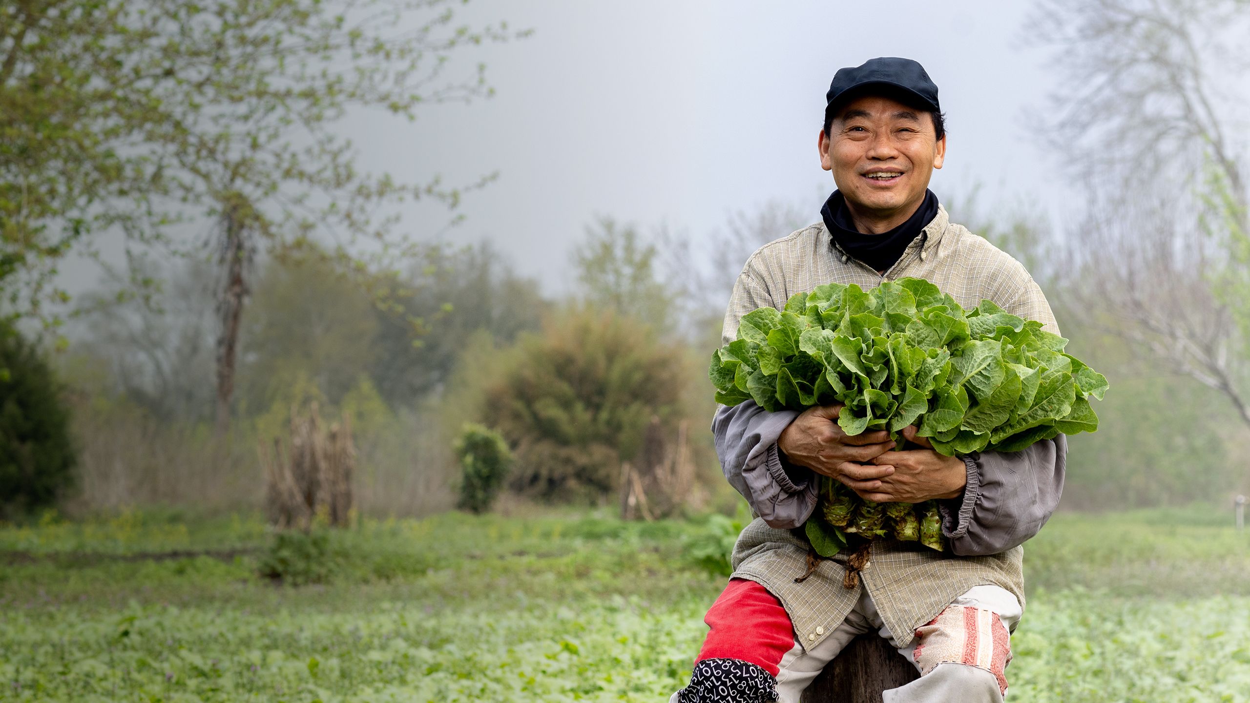 Zhifeng Ren smiles and sits in a grassy clearing holding an armful of lettuce