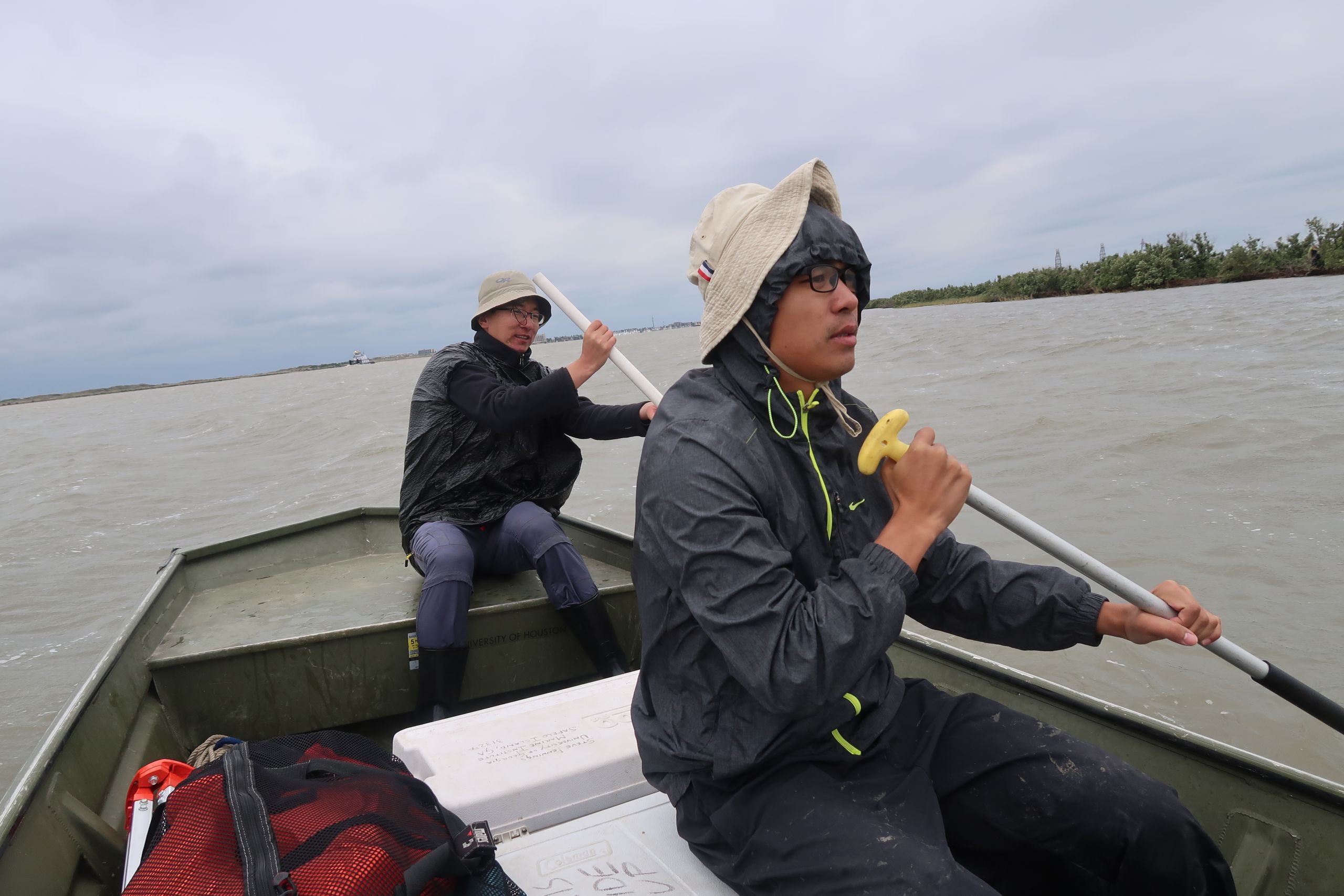 Researchers maneuver the boat close to the mangrove stand.