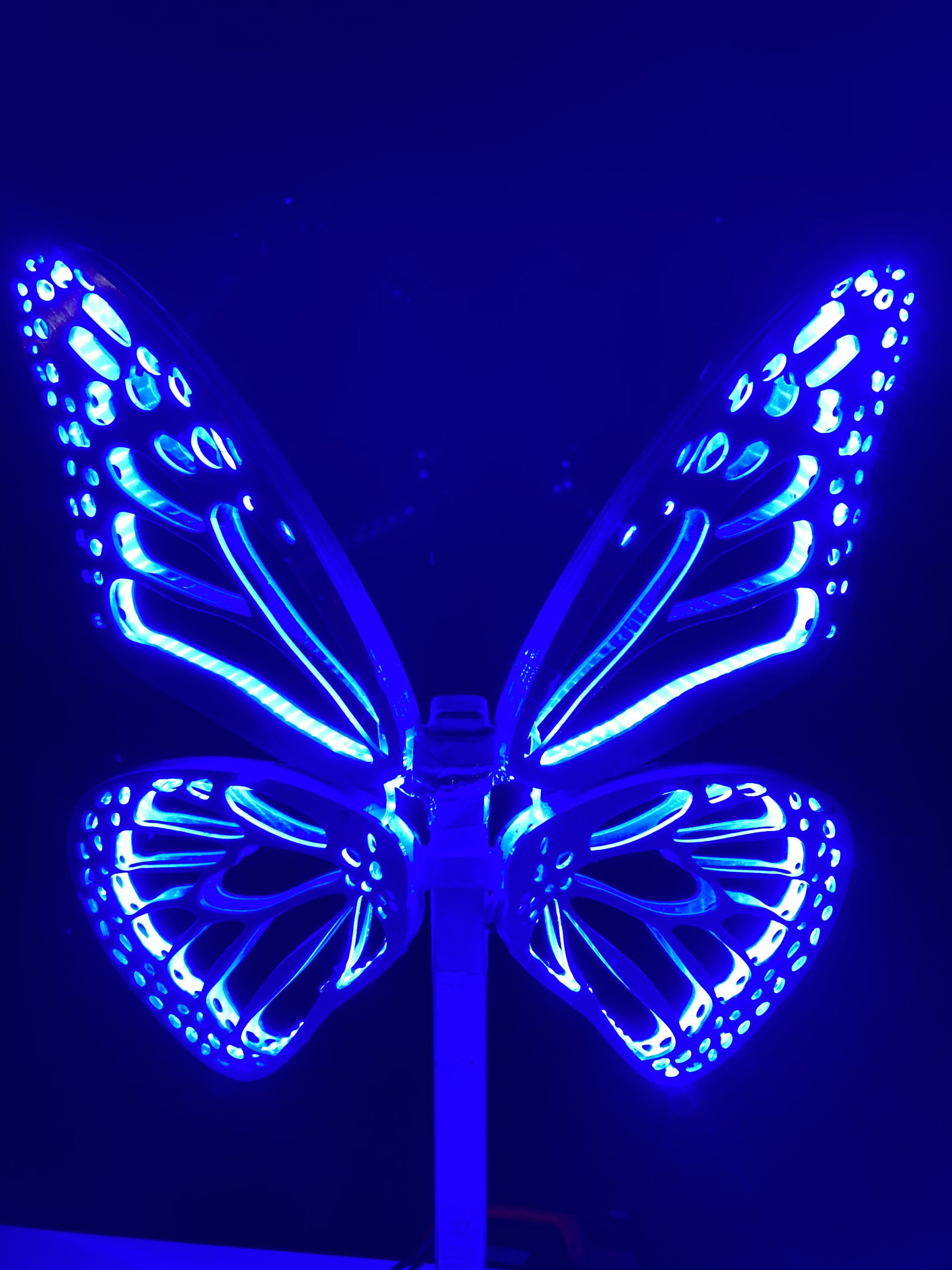 photo of Ballengee light sculpture- blue butterfly